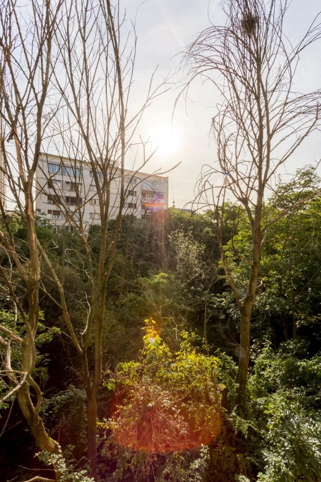 Apartment Calme Dans La Verdure 16e Paris